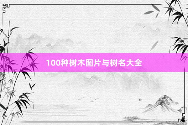 100种树木图片与树名大全