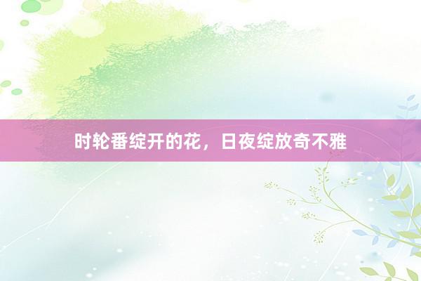时轮番绽开的花，日夜绽放奇不雅