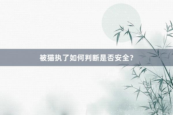 被猫执了如何判断是否安全？